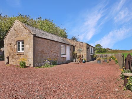 A cottage with a patio and plants at Plumtree Cottage in Alnmouth