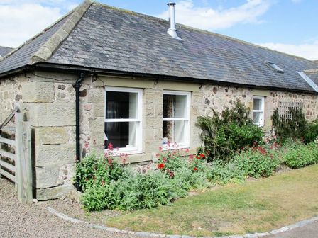 A stone cottage with windows flowers and plants in front at Swallow Cottage nr Powburn in Powburn