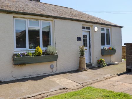 The exterior of a house with a white door and windows with flower boxes and plants at Seaview Howick Craster