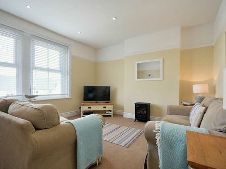 A living room with two beige sofas a television on a stand a striped rug and a small heater at Coastal Haven in Seahouses
