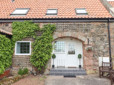 Stone house exterior with white front door two potted plants climbing green vines wooden bench and tiled roof at Jara in Bamburgh