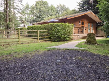 A wooden cabin surrounded by trees a gravel area and a pathway at Swinsty Lodge in Fewston near Darley