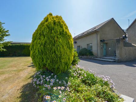 An outdoor view of a house with a conical tree and flowers in front of it at Acorn Cottage in Teigngrace near Newton Abbot
