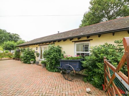 An exterior view of a single-story building with plants in pots and a blue wooden cart with flowers at The Shippen in Gooseham near Kilkhampton