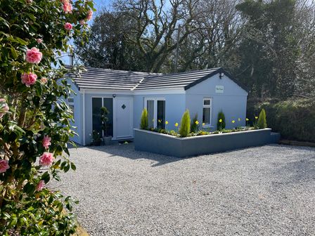 A small blue house with a gravel driveway and flower beds with yellow flowers and evergreen shrubs at The View in Cardinham