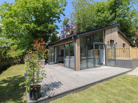 A wooden cabin with large glass doors opening onto a deck surrounded by trees at The Nest Brython in Tenby