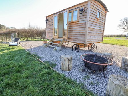A wooden shepherds hut on wheels with open doors beside a fire pit and log stools at Cariad Bach in Gwaenysgor near Prestatyn