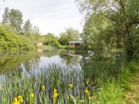 A pond surrounded by trees and plants with yellow flowers in the foreground and a small wooden cabin on the far side at Willow in Dunchurch