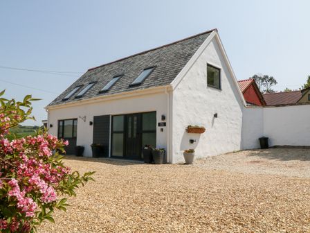A white cottage with skylights on the roof and flower pots outside at Willow Cottage in Combe Martin
