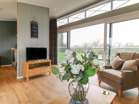 A living room with a TV on a wooden stand an armchair with cushions a glass vase with white flowers on a table and large windows showing a green outdoor area at Cedar Lodge Newark-On-Trent