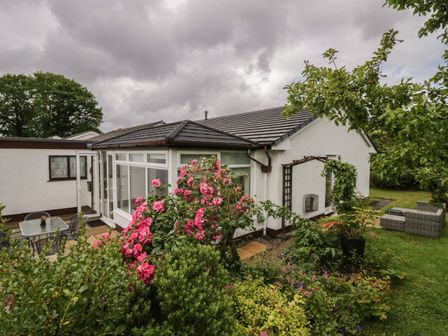 A garden with pink flowers and shrubs outside a white house with a patio and outdoor seating at The Bird's Nest in Bowness-On-Windermere