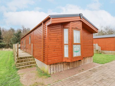 A wooden cabin with steps and a paved walkway at Draco in Felmoor Park