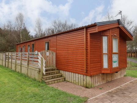 A wooden cabin with a deck and steps surrounded by grass and trees at Ursa in Felmoor Park