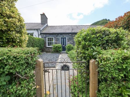 Front view of a house with a stone pathway leading to a blue door and surrounded by green bushes at Milos Cottage in Tywyn
