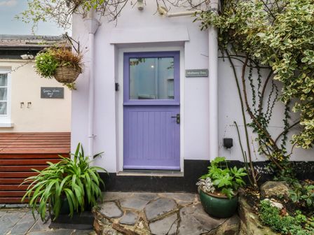 A purple door entrance with plants and stone steps at Mulberry Tree in Appledore