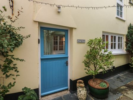 A blue door with a glass window in a beige wall with plants and pots outside Pear Tree Cottage in Appledore