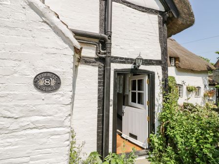 Exterior view of a white brick cottage with a black framed half door and plants around the entrance at Bluebell Cottage in Shottery
