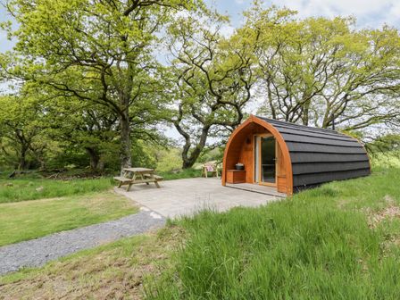 An outdoor pod with a wooden bench and picnic table set among trees and grass at Conwy Pod in Capel Garmon near Betws-Y-Coed
