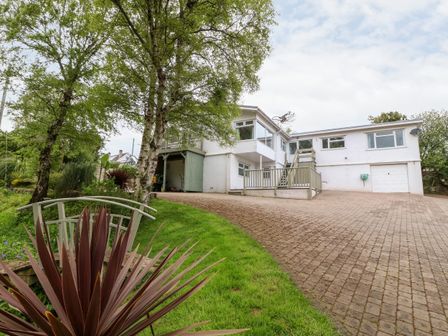 A white house with a paved driveway and surrounding trees and plants at Willoway in Benllech