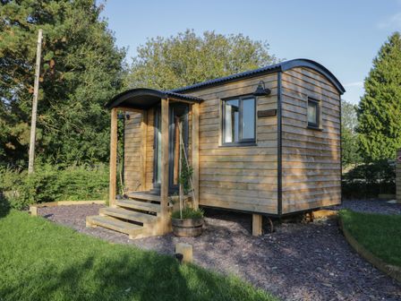A small wooden cabin with steps leading to a covered entrance surrounded by grass and trees at Hazel in Kemble