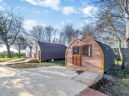 Three small wooden pod cabins with curved roofs on a path surrounded by trees at Carlton Manor Pod 9 in Aldbrough