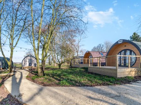 A curved pathway leading to wooden cabins among leafless trees at Carlton Manor Pod 12 in Aldbrough