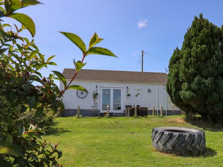 A house with white walls and a brown roof with a large tire in the grass and trees at Ty Cwtch in Llangynin near St Clears