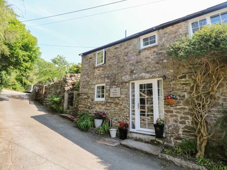 Stone cottage with white framed windows and door on a narrow road with potted plants outside at Small Barn Henwood near Upton Cross