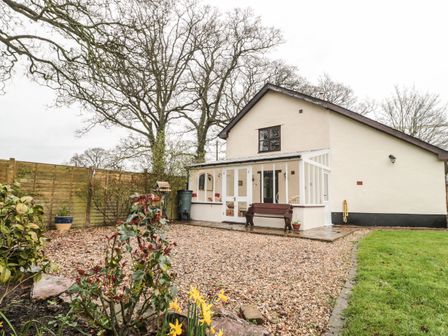A house with a white exterior and a glass porch surrounded by a gravel yard and plants at Oak Barn in Kentisbeare