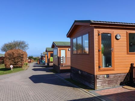 A row of wooden lodges along a paved road with a hedge and tree on the left at Daffodil Lodge in Mullacott near Ilfracombe