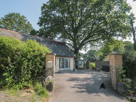 The driveway and entrance of a house with trees plants a small shed and a black cat at Nuthatch in Honiton