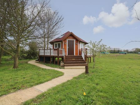 A small wooden cabin with a deck and steps surrounded by grass and trees at Honeybee Retreat in Pentney near Upper Marham