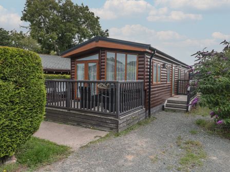 A wooden cabin with a porch and railing surrounded by greenery and a gravel path at Beech in Swanage