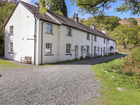A row of white cottages with benches outside along a gravel driveway surrounded by green trees and grass at High Stile Seatoller near Rosthwaite