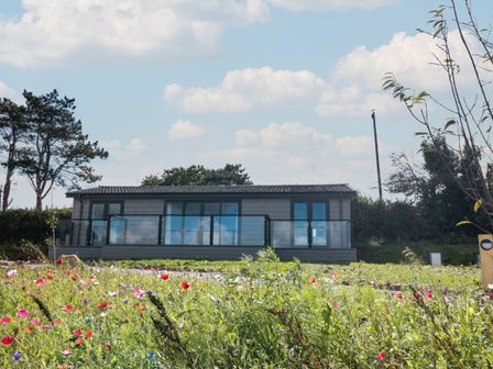 A modern single story building with glass balcony doors and a wildflower field in the foreground at Bluebell Lodge in Norton near Dartmouth