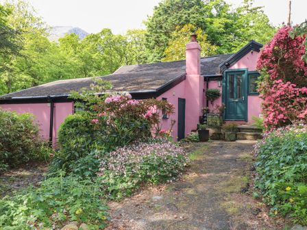 A pink house with a teal door surrounded by green plants and pink flowers at Can Yr Afon in Beddgelert