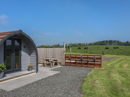 A gray pod structure with glass doors and potted plants next to a wooden picnic table and a fenced grassy field with cows at Nebo Pod in Amlwch
