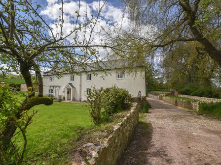 A two-story house with cream walls beside a gravel driveway and garden with trees at Millwater Cottage in Dalwood