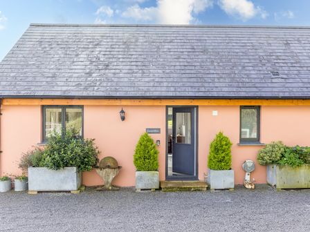 The exterior of a single-story building with a pitched roof two windows a central door and several planters with shrubs at The Farm Office in Bampton Devon
