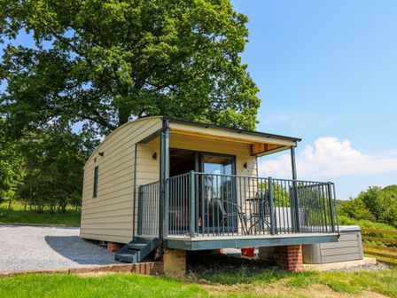 A small cabin with a porch and railing surrounded by trees and grass at Hen's Hideaway in Rhaedr Gwy near Rhayader