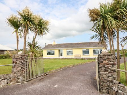A yellow house with a tiled roof behind a stone gate with palm trees at Meeligolleen in Coill Tra