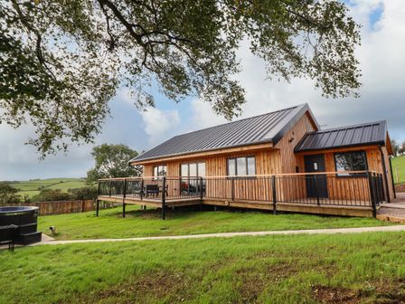 A wooden lodge with a metal roof and a wraparound deck on a grassy hill at Mynydd Y Glyn Lodge in Llanfyllin near Llanrhaeadr-Ym-Mochnant
