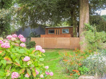 A garden with pink flowers wooden fence trees and a small wooden building at Fron Goch Shepherd's Hut Red Wharf Bay near Pentraeth