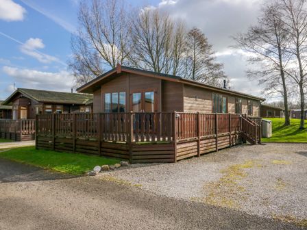 A wooden cabin with a fenced porch surrounded by trees and gravel driveway at Lakeside 20 in Warton near Carnforth