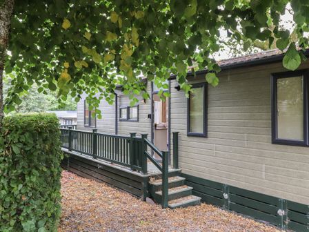 Exterior view of a cabin with a green wooden railing and stairs surrounded by trees at Serendipity R11 Fallbarrow Park near Bowness-On-Windermere