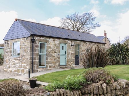 A stone cottage with green windows and door surrounded by grass and plants at The Piggery in Castle Gate near Longrock