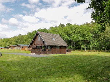 A wooden cabin with a pitched roof on a grassy area with several smaller cabins and trees in the background at Glenisle in Dalbeattie