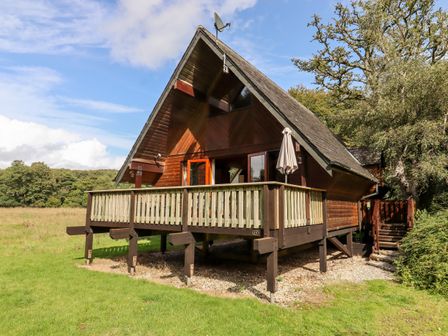 A wooden cabin with a raised deck surrounded by grass and trees at Trout River Retreat in Clifford Bridge near Moretonhampstead