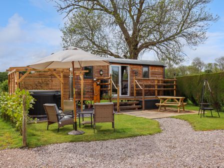 A wooden cabin with outdoor chairs umbrella and picnic table surrounded by grass and trees at Moel Y Parc in Bryniau Clwyd near Denbigh