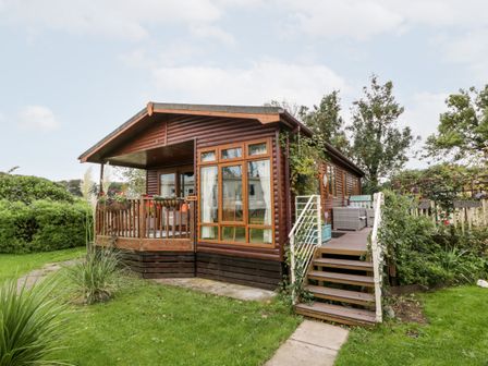 A wooden cabin with a porch and stairs surrounded by green grass and plants at Eden Lodge in Castlewigg near Whithorn